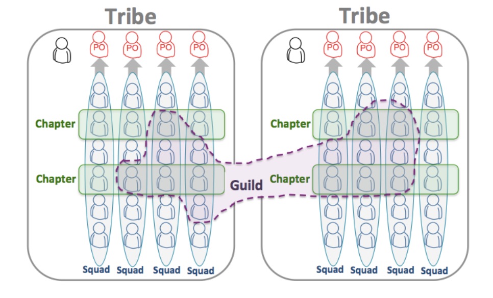 Figure reproduced from the article Scaling Agile @ Spotify with Tribes, Squads, Chapters & Guilds. Henrik Kniberg & Anders Ivarsson, 2012.